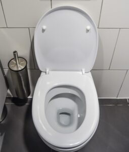 Blocked Toilet Emergencies Perth